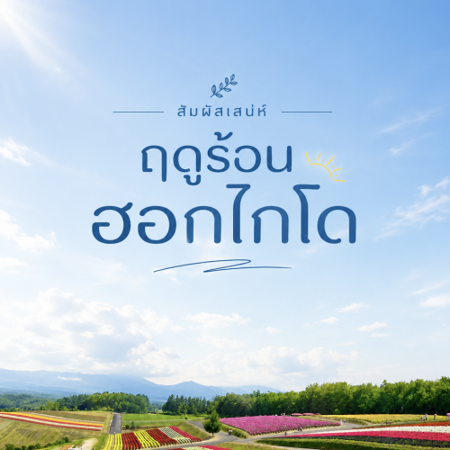 เที่ยวฮอกไกโดหน้าร้อน 5 วัน 4 คืน ทุ่งลาเวนเดอร์และบ่อน้ำสีฟ้า