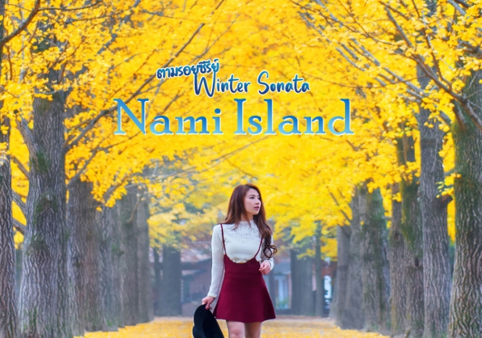 เที่ยวเกาหลี ตามรอยซีรีย์ เกาะนามิ (Nami Island)