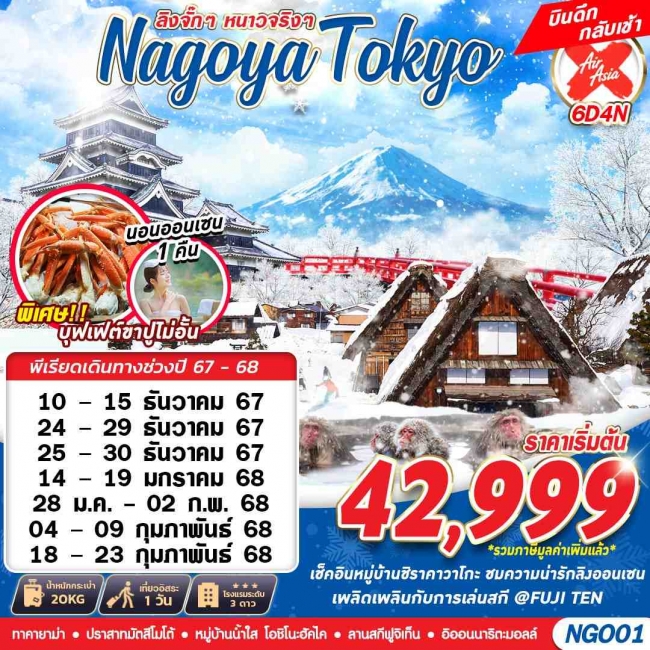 ทัวร์ญี่ปุ่น NAGOYA TOKYO WINTER ลิงจั๊กๆหนาวจริงๆ (เที่ยวเต็ม) 6D4N (GS)