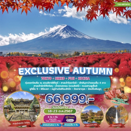 ทัวร์ญี่ปุ่น Exclusive Autumn...Tokyo Nikko Fuji Kochia 6วัน 4คืน TG (T2G)