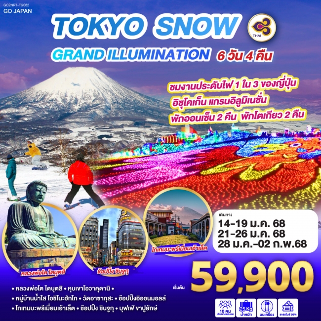 ทัวร์ญี่ปุ่น TOKYO SNOW GRAND ILLUMINATION TG (GO)