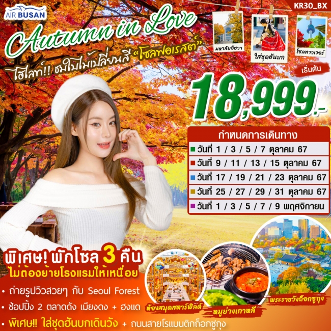 ทัวร์เกาหลี AUTUMN IN LOVE 5 วัน 3 คืน บิน BX (SYT)