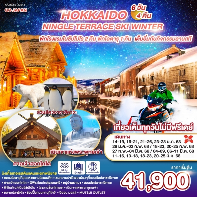 ทัวร์ญี่ปุ่น HOKKAIDO NINGLE TERRACE SKI WINTER TG (GO) 