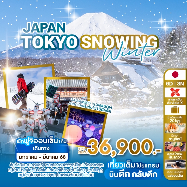 ทัวร์ญี่ปุ่น JAPAN TOKYO SNOWING WINTER XJ (WE)