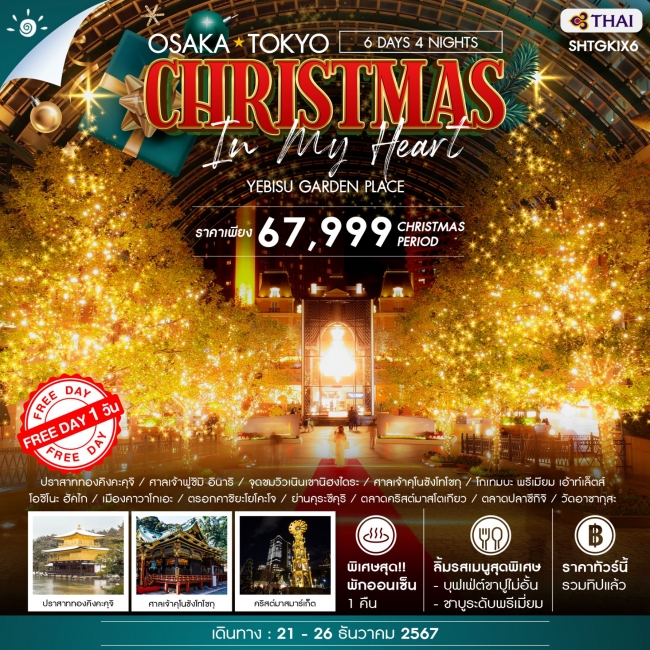 ทัวร์ญี่ปุ่น โอซาก้า โตเกียว CHRISTMAS IN MY HEART 6 วัน 4 คืน TG (SS)