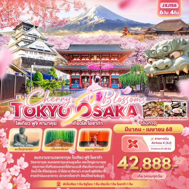 ทัวร์ญี่ปุ่น Cherry 2 blossoms TOKYO OSAKA โตเกียว ฟูจิ คามาคุระ เกียวโต โอซาก้า 6วัน4คืน (IT)