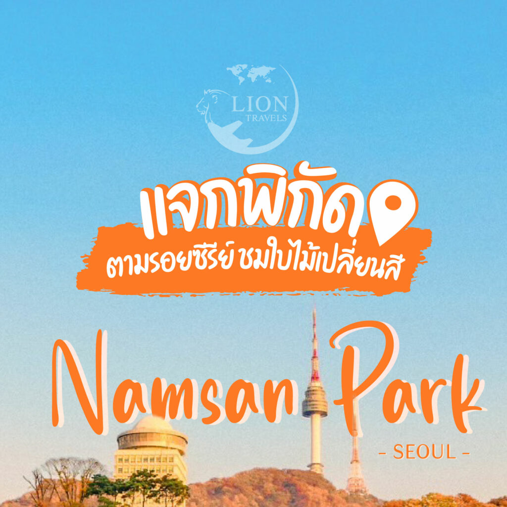 เที่ยวเกาหลี 2567 ทัวร์เกาหลี  Namsan Park ชมใบไม้เปลี่ยนสีในโซล